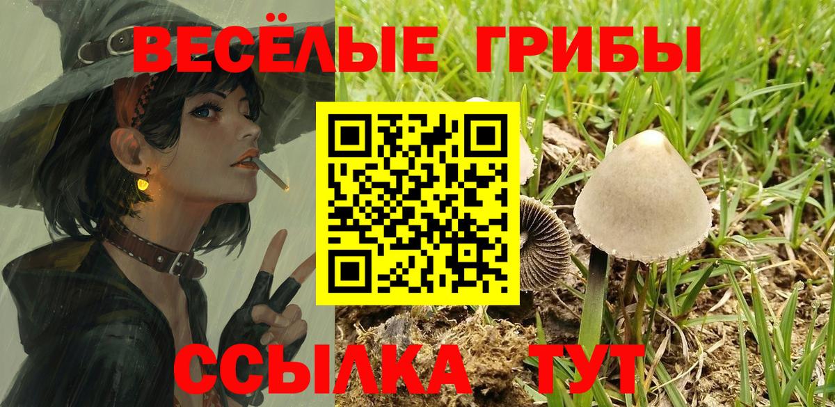 Галлюциногенные грибы прущие грибы  Вход с VPN  Псилоцибиновые грибы GOLDEN TEACHER  Вятские Поляны 